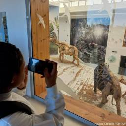 04-clt-girls-in-conservation-2024_original